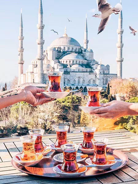 The Vitale Restaurant and Bar, Sultanahmet restaurant, istanbul restaurant